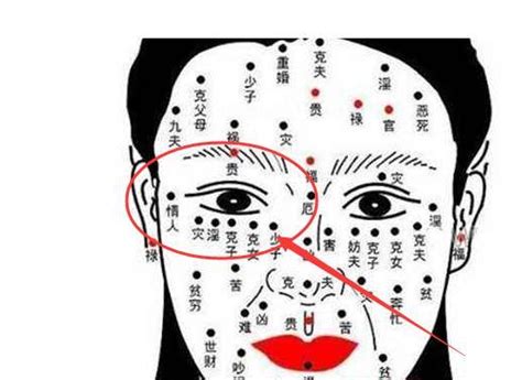 右眼皮有痣女|女性右眼皮有痣图解 